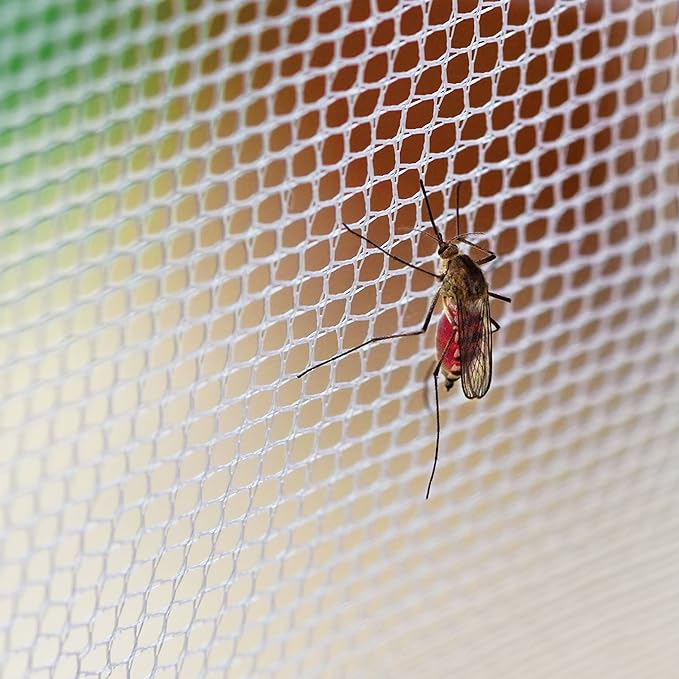 Tent Accessories Diy Mosquito  - Outdoor Camping Bug Zapper 리뷰 및 가격